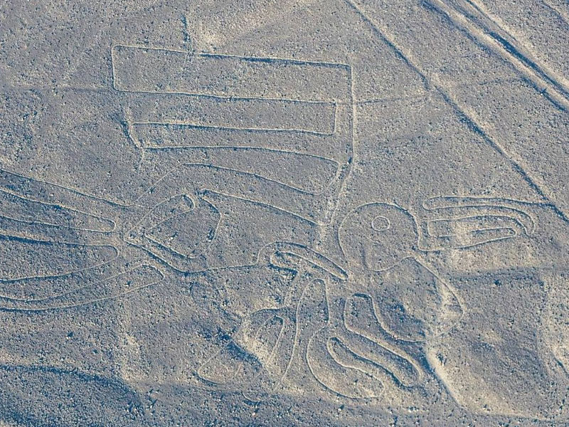Sobrevuelo a las líneas de Nasca desde Paracas